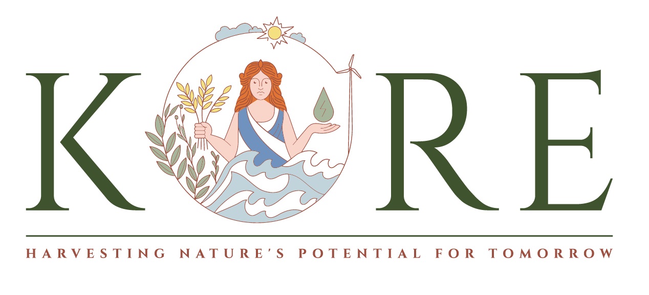 Knowledge Optimisation for Renewable Energy Group